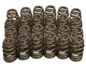 Valve Springs