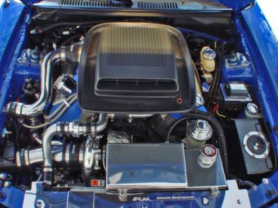 Hellion Turbo - Hellion Turbo Tuner Kit for 03-04 Mach 1 4V 4.6L