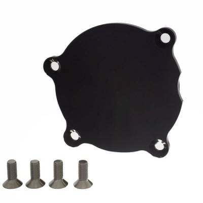 Accufab  - Accufab Water Pump Block Off Plate for 4.6L/5.4L/5.8L