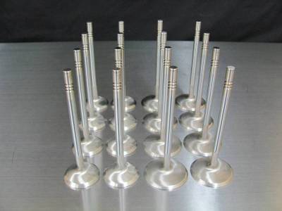 Valve Train / Timing Components - Valves - MHS Valves