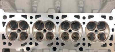 Ford GT / GT500 Heads 