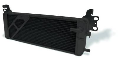 AFCO Black Dual Pass Heat Exchanger for 07-12 GT500