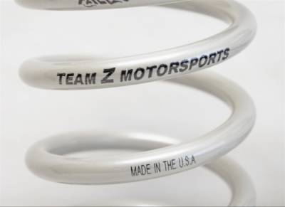 Team Z Motorsports - Team Z Stock Location Rear Drag Springs for 94-04 Mustang - Image 2