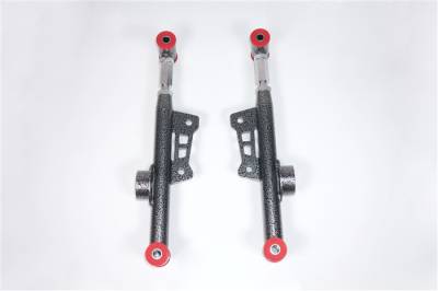 Team Z Motorsports - Team Z Street Beast with Lowers, Relocated Uppers, and Anti Roll Bar Kit for 79-04 Mustang - Image 3