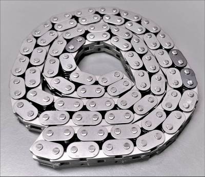 OEM Ford 5.4L Primary Timing Chain Set